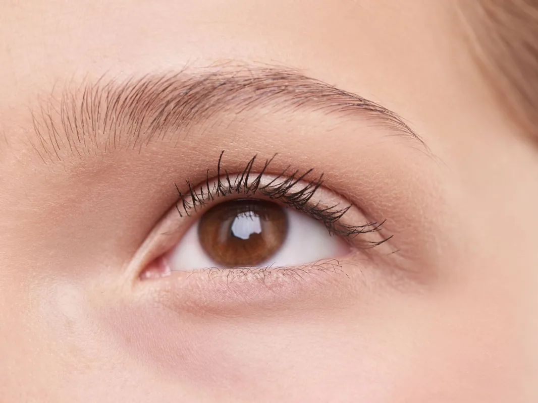 Close-up of a groomed brow and lifted lashes