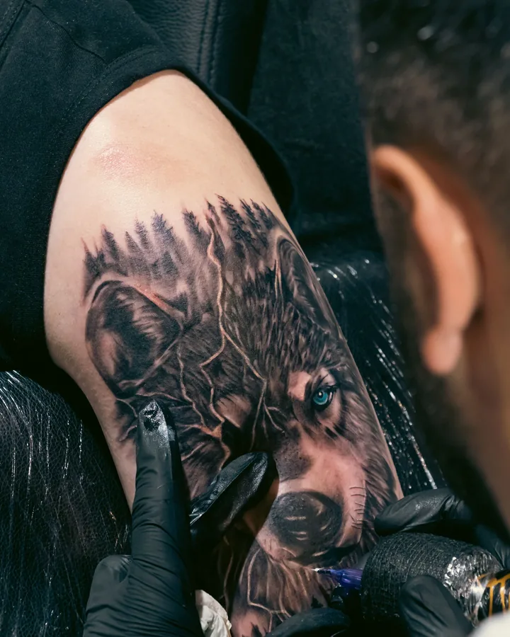 Black and grey wolf being tattooed by Tomas